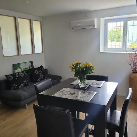 Appartement Au Grand Chêne Jolie T3 à 5 Min D'albi Puygouzon-et-Montsalvy