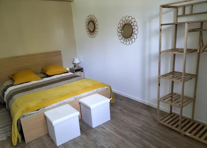 Appartement Au Grand Chêne Jolie T3 à 5 Min D'albi