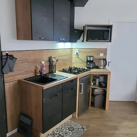 Au Grand Chene Jolie T3 A 5 Min D'albi Puygouzon-et-Montsalvy