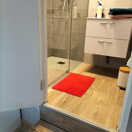 Au Grand Chene Jolie T3 A 5 Min D'albi