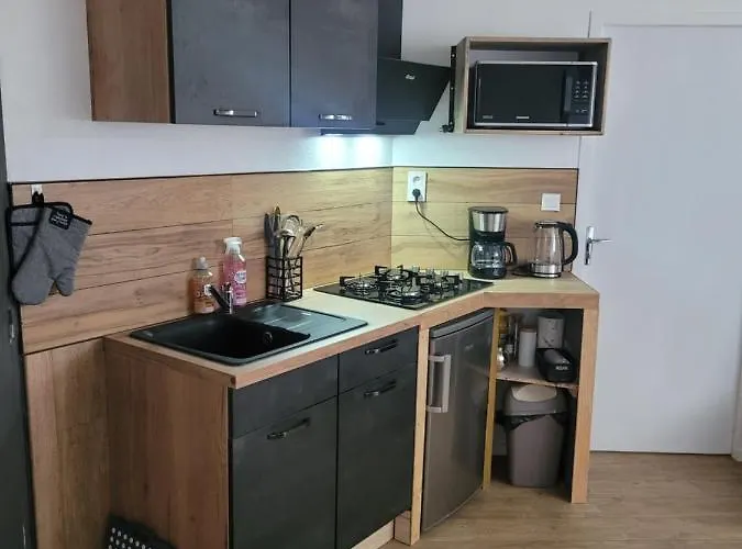 Au Grand Chene Jolie T3 A 5 Min D'albi Puygouzon-et-Montsalvy