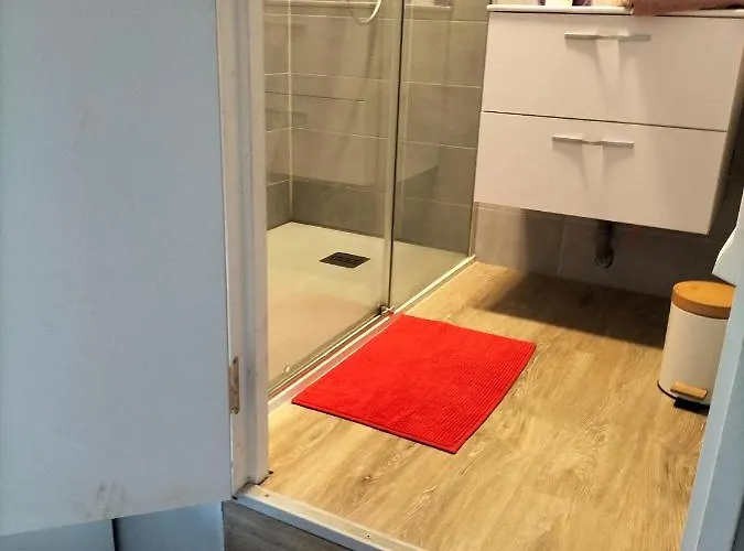 Au Grand Chene Jolie T3 A 5 Min D'albi